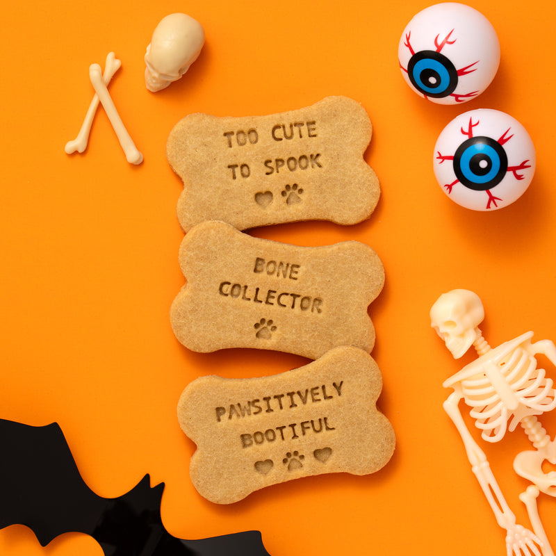 Bulk Custom Logo and Message Dog Biscuits